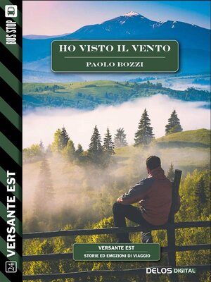cover image of Ho visto il vento